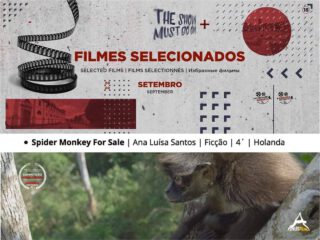 Todos os olhos postos em AROUCA! ﻿﻿﻿🇵🇹🎥
PT: É com enorme alegria que partilhamos que a nossa curta-metragem “Spider Monkey for Sale” foi selecionada para a 18˚ Edição do Arouca Film Festival em Portugal! 
Arouca Film Festival tem início no dia 10 e entre os dias 14 e 19 de Setembro de 2020! 

ENG: It’s with great pleasure that we share that our short film “Spider Monkey for Sale” was selected for the 18º Arouca Film Festival in Portugal!
Arouca Film Festival begins on 10th and continues between 14th and 19th September 2020, in Arouca Portugal! 

"Spider Monkey For Sale" is an @AtelesFilms production made by Michael Sanderson and Ana Luísa Santos 

Visit Arouca!!

#arouca #filmes #cinema #movies #aroucafilmfestival #cineclubedearouca #aroucageopark #visitportugal #visitarouca #films #filmfestival #juris #portugal #analuisasantos #spidermonkeyforsale #returnofthespidermonkeys #wildlife