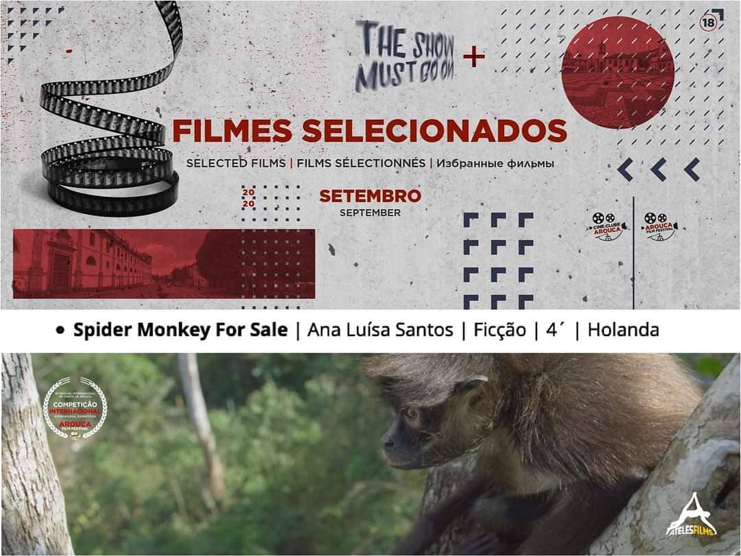 Todos os olhos postos em AROUCA! 🇵🇹🎥
PT: É com enorme alegria que partilhamos que a nossa curta-metragem “Spider Monkey for Sale” foi selecionada para a 18˚ Edição do Arouca Film Festival em Portugal!
Arouca Film Festival tem início no dia 10 e entre os dias 14 e 19 de Setembro de 2020!
ENG: It’s with great pleasure that we share that our short film “Spider Monkey for Sale” was selected for the 18º Arouca Film Festival in Portugal!
Arouca Film Festival begins on 10th and continues between 14th and 19th September 2020, in Arouca Portugal!
"Spider Monkey For Sale" is an @AtelesFilms production made by Michael Sanderson and Ana Luísa Santos
Visit Arouca!!
#arouca #filmes #cinema #movies #aroucafilmfestival #cineclubedearouca #aroucageopark #visitportugal #visitarouca #films #filmfestival #juris #portugal #analuisasantos #spidermonkeyforsale #returnofthespidermonkeys #wildlife