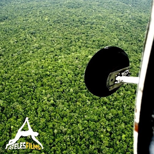 Aerials of the Americas #2 : Broccoli or rainforest?
This is the stunning Maya biosphere reserve in Guatemala... Jungle as far as the eye can see. Flying North to film the ruined Mayan city of Tikal from the sky way back in 2008. The forest is already much smaller as it has lost swathes of forest in the last two decades.
.
.
.
#atelesfilms #guatemala #mayabiospherereserve #jungle #brocolli #cessna #deforestation #rainforest #airplane #aerial #oldschool #forest #trees #seaoftrees #underthreat #spidermonkeys #jaguars #centralamerica #americas #latinamerica #exploration #adventure #wheel #reddigitalcinema #redone