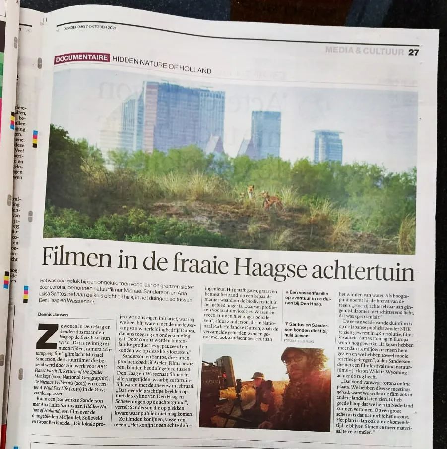 Yesterday's newspaper article about our newest blue chip wildlife documentary for NHK wildlife which we shot in the beautiful dunes of The Hague.
How great is to see it in a physical newspaper!! We love the printed version!
Check this out!
Thanks @djansen1969, @ad_nl and @ad_denhaag and @dunea_nl
Thanks to @degreefpartner, @leofoto.eu and @reddigitalcinema
#atelesfilms #nhk #ad #wildlifefilmmaker #wildlife #press #analuisasantos #michaelsanderson #denhaag #thehague #dunes #meijendel #solleveld #reddigitalcinema #shotonred #womanbehindthecamera #herwildvision #wsfilmmakers #scheveningen #nationaalparkhollandseduinen #dunea #beach