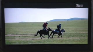 Mongolia and the longest toughest horse race in the world. 
Great to see 'All the wild horses' with cinematography by Michael Sanderson, on Ziggo Sport in the Netherlands
.
.
.
#atelesfilms #atwh #allthewildhorses #ziggosport #reddigitalcinema #shotonred #documentary #mongolia #mongolderby #wildhorses