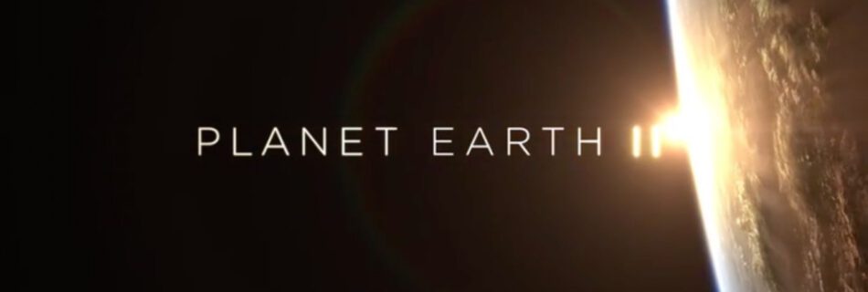 Planet Earth 2 Title