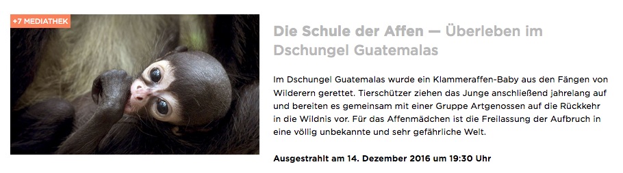 2016-Arte-Die-Schule-der-Affen-AtelesFilms