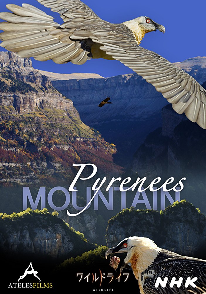 Pyrenees Mountain Pyrenees Mountain, MICHAEL SANDERSON