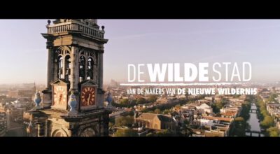 De Wilde Stad