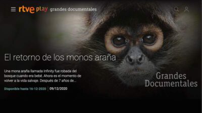 RTVE Grandes Documentales El Retorno de los monos arana Ateles Films