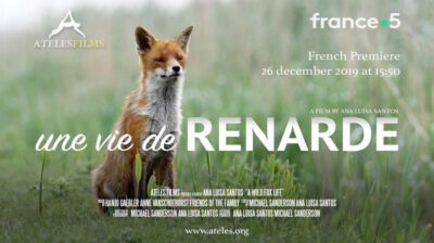 Une vie de renarde 2019 France 5 Ateles Films