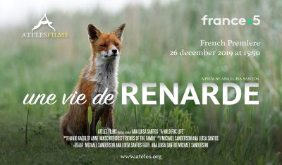 Une vie de renarde