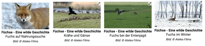 Fox-austria Fox-austria