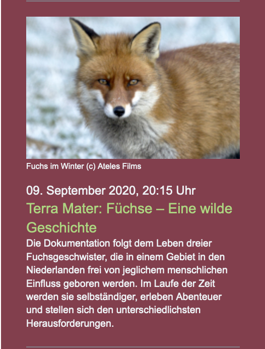 Natur Online - Terra Mater Fuchse Eine wilde Geschichte 2020