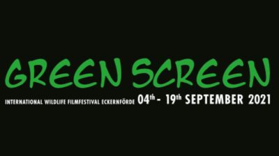 Green Screen Festival 2021 black