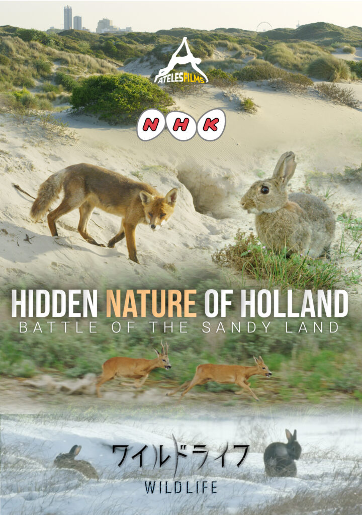 Hidden Nature of Holland Ateles Films NHK Wildlife