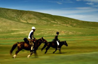 All-the-wild-horses_MichaelSanderson002 All-the-wild-horses_MichaelSanderson002
