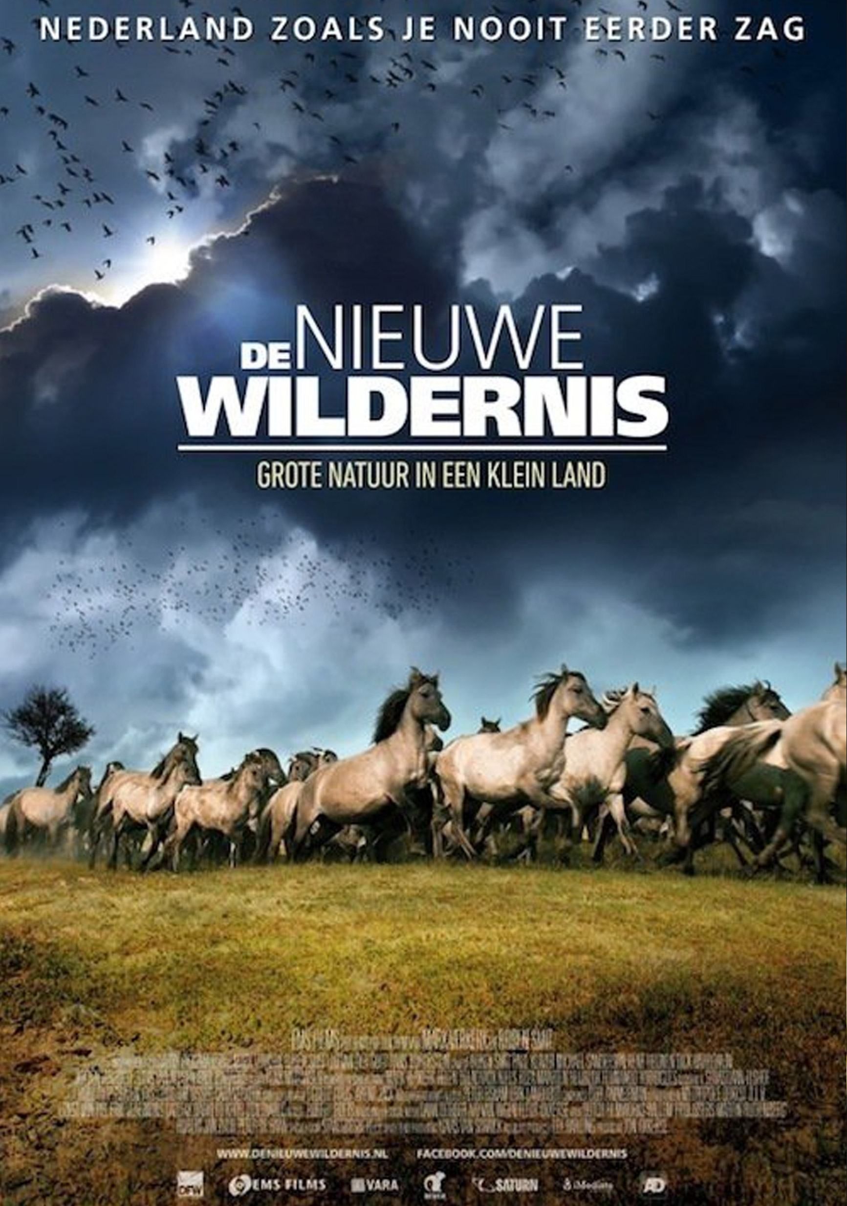 DNW-poster-wider DNW-poster-wider