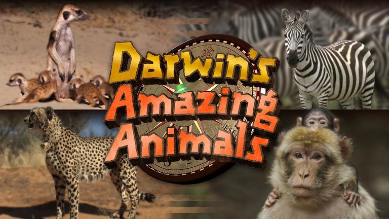 Darwin’s Amazing Animals: Netherland's Great Reclaimed Land