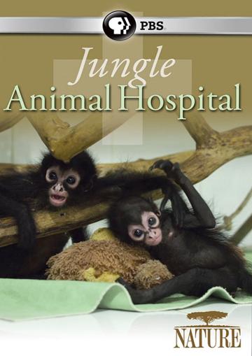 JAH Ana Luisa Santos – Poster Jungle Animal Hospital BBC Natural World