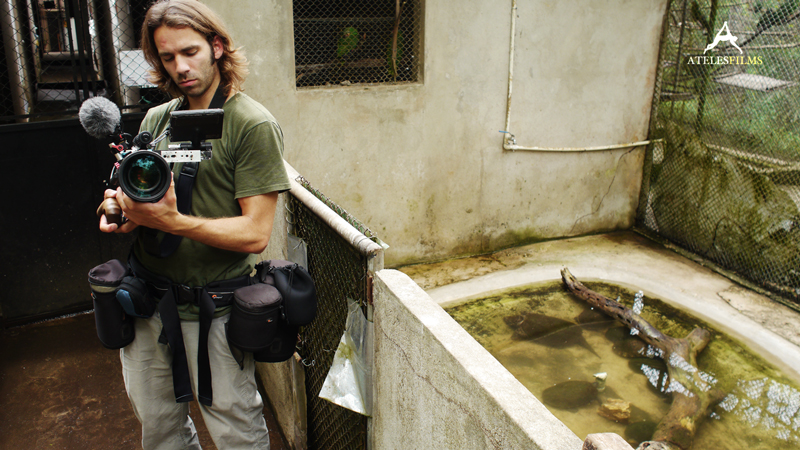 JungleAnimalHospital_AtelesFilms_BBC_15 JungleAnimalHospital_AtelesFilms_BBC_15