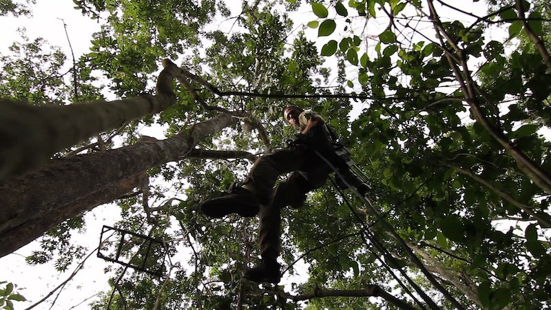 ROTSM Michael Tree Climbing