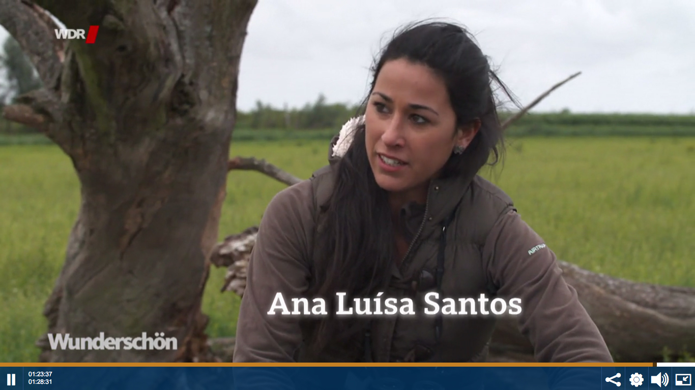 2019-Wunderschoen-WDR_Ana_Luisa_Santos