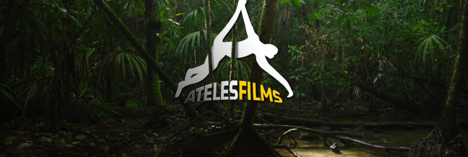Ateles Films Jungle Logo Wide