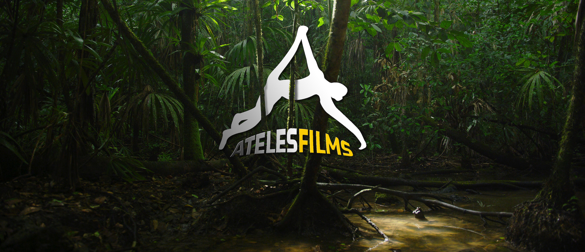 Ateles Films Jungle Logo Wide