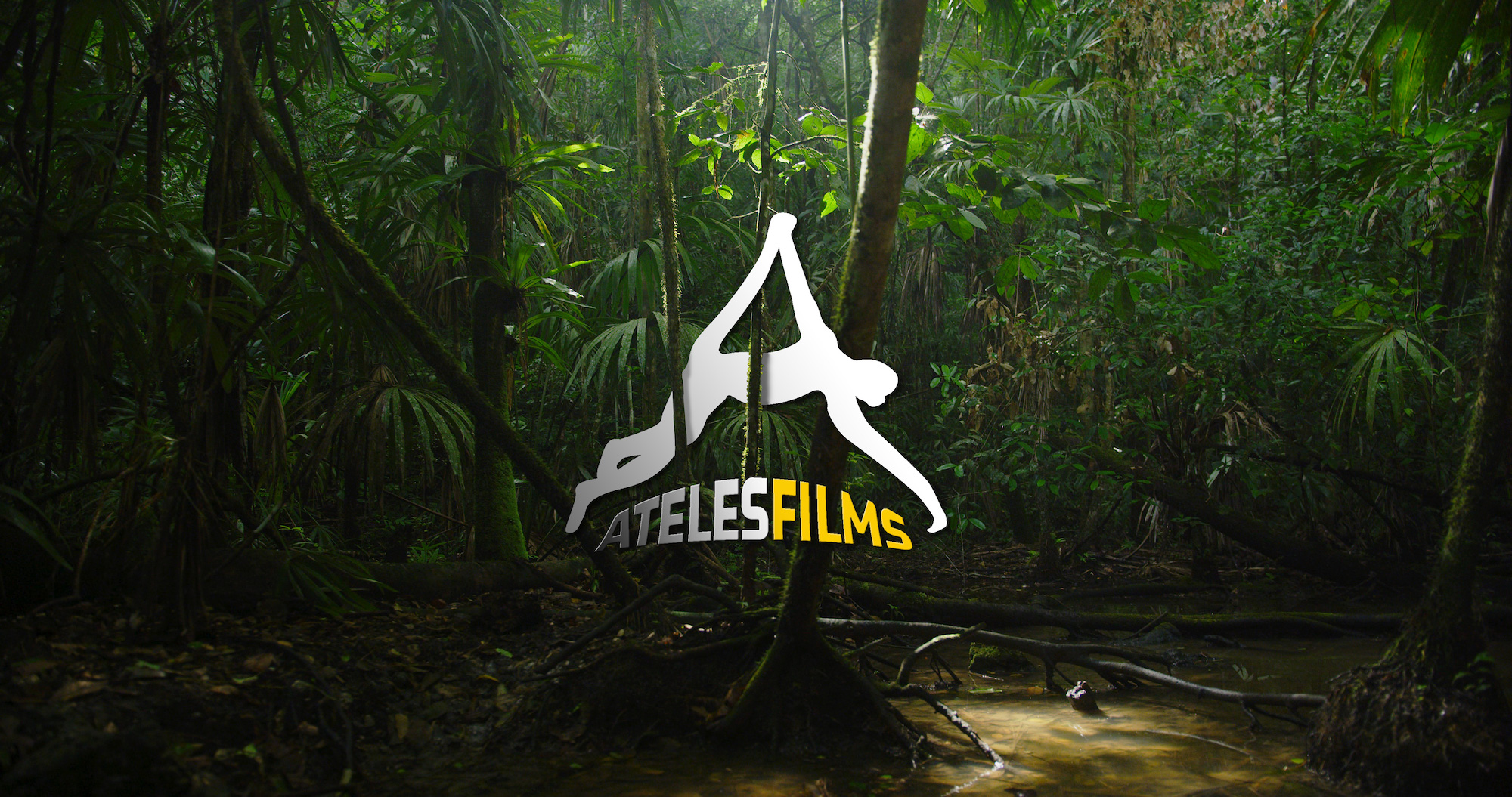 Ateles Films Logo Jungle