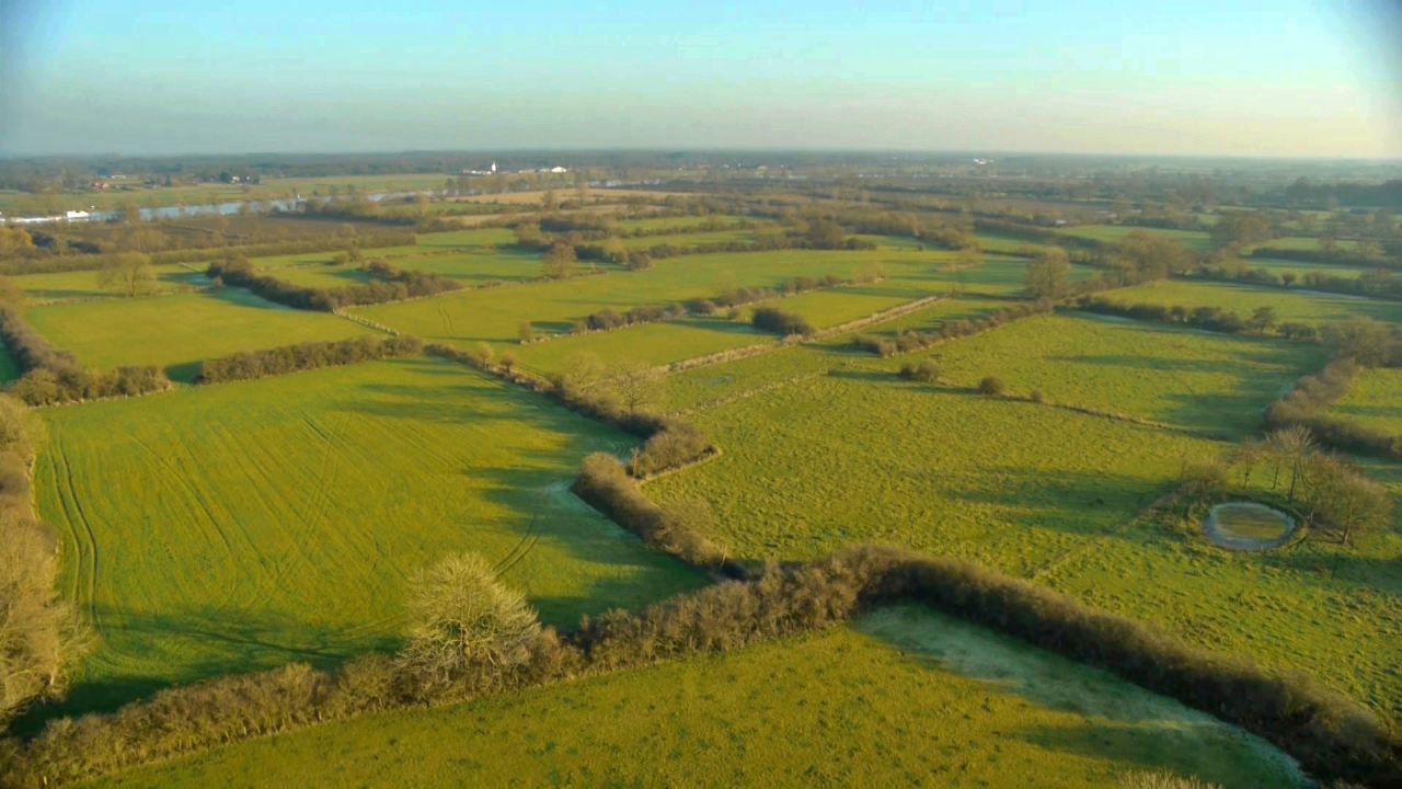 Ateles Films Natuurbeelden Stock Footage Netherlands Maasheggen