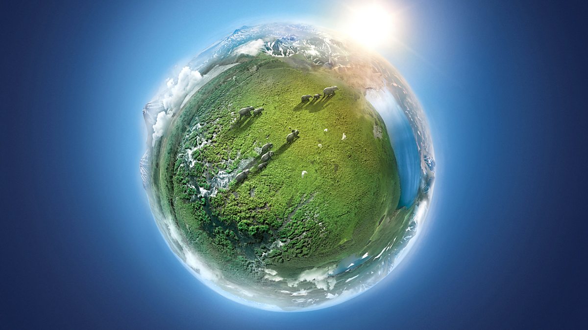 Michael Sanderson Planet Earth 2