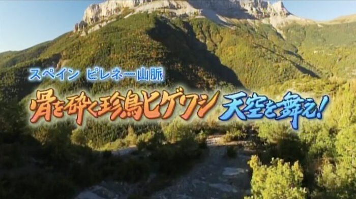 Pyrenees Mountain NHK Ateles Films