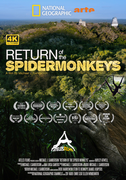 Return of the Spider Monkeys Movie Poster by Ateles Films