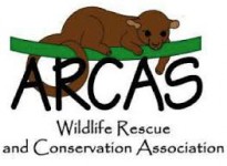 arcas-logo