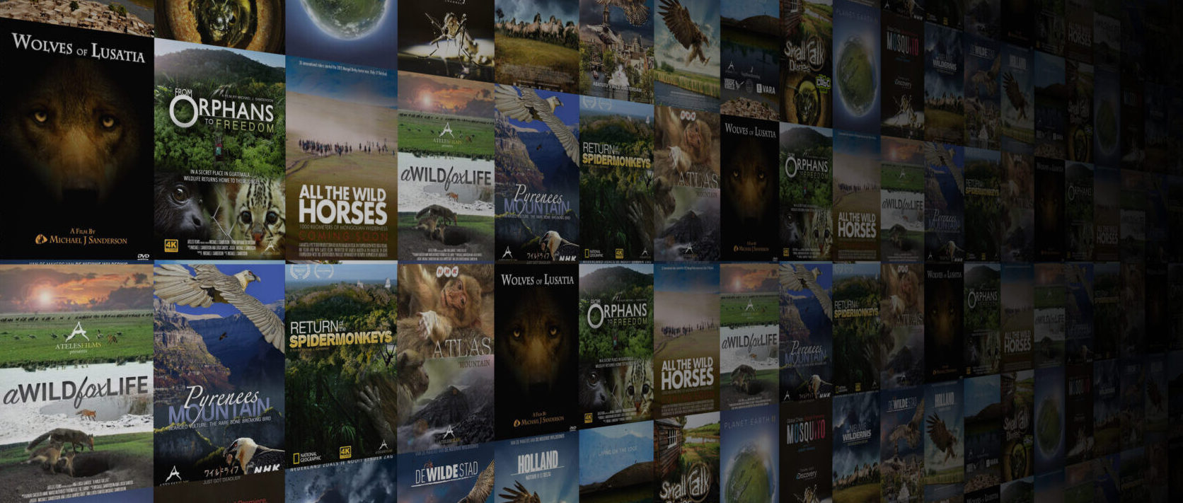 Ateles Films