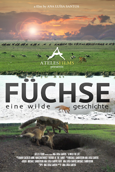 Ateles Films Fuchse Eine Wilde Geschichte