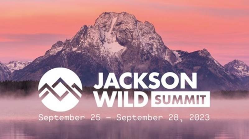 Jackson-Wild-Summit-2023-Ateles-Films