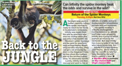 What's on TV Magazine 21st October 2017 - Return of Spidey Monkeys
