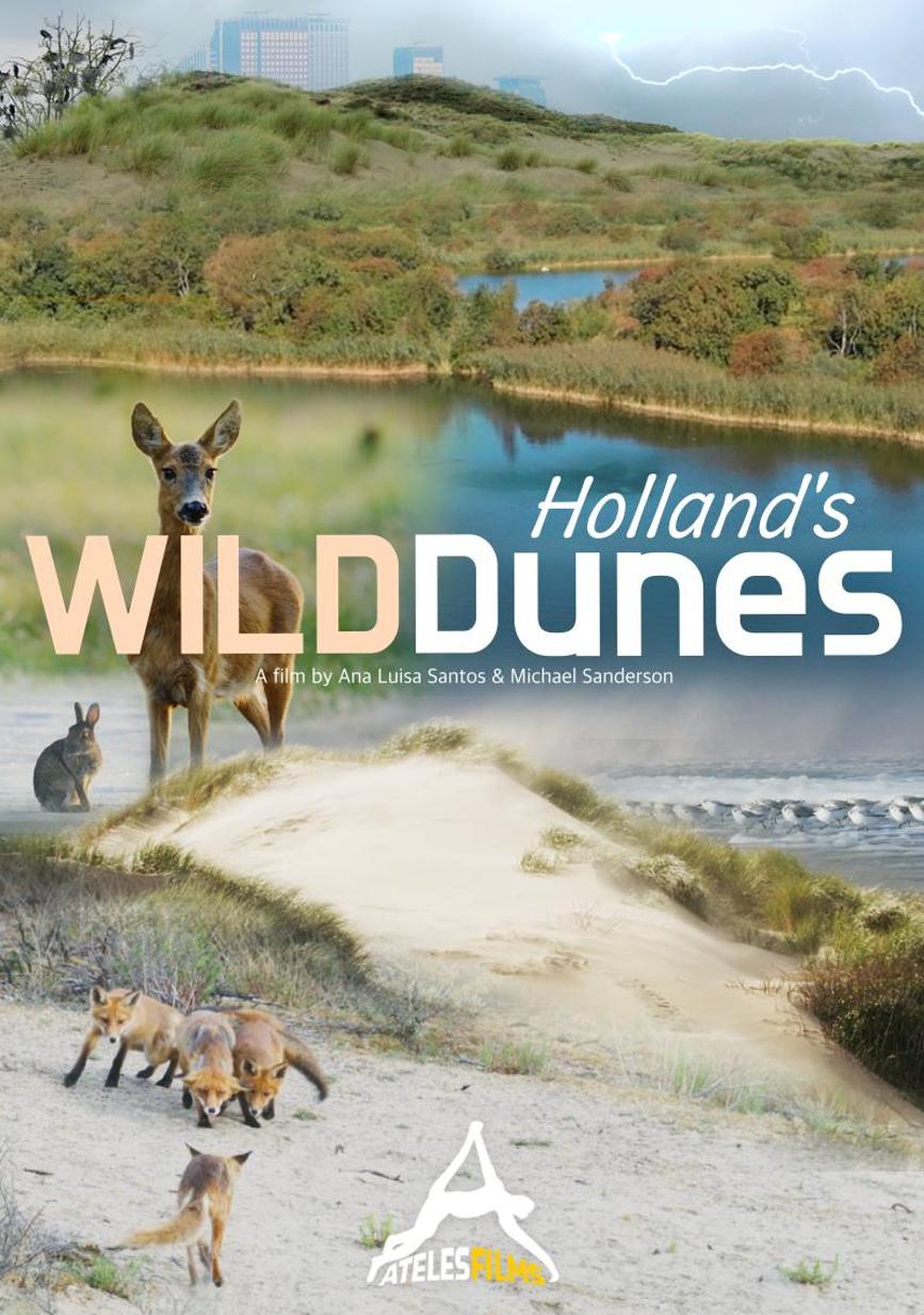 Holland's Wild Dunes Ateles Films Poster