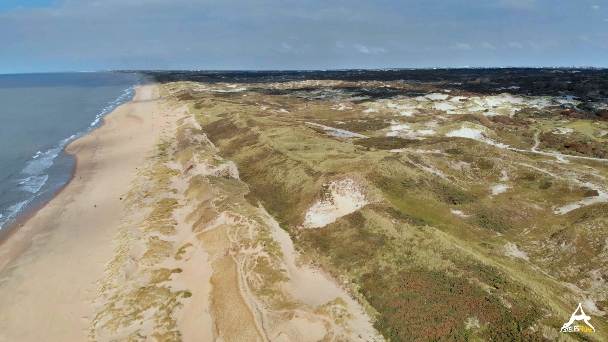 Hollands Wild Dunes Featured Image