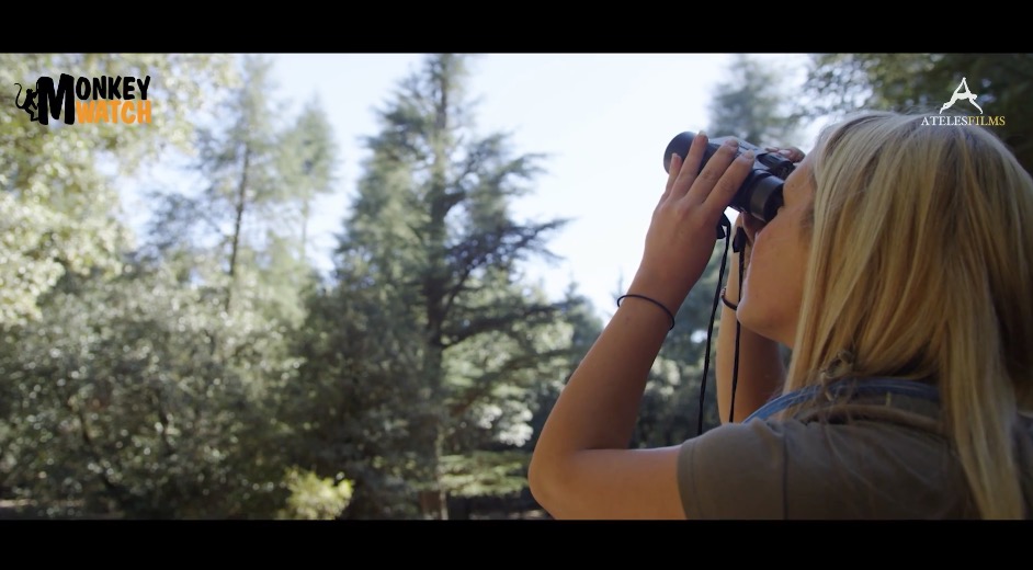 Ateles Films MPC Monkey Watch Morocco Promo NGO