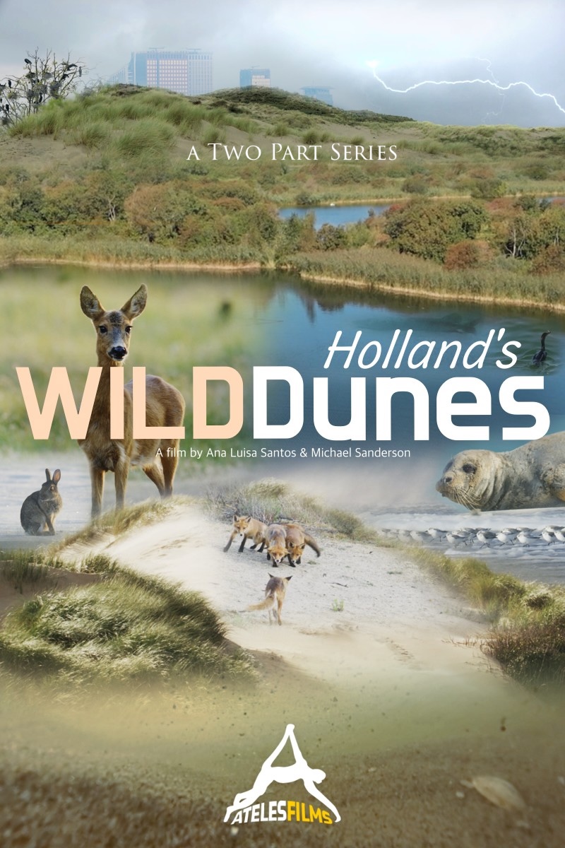 Holland's Wild Dunes - Ateles Films - 2 Part Series Holland's Wild Dunes - Ateles Films - 2 Part Series