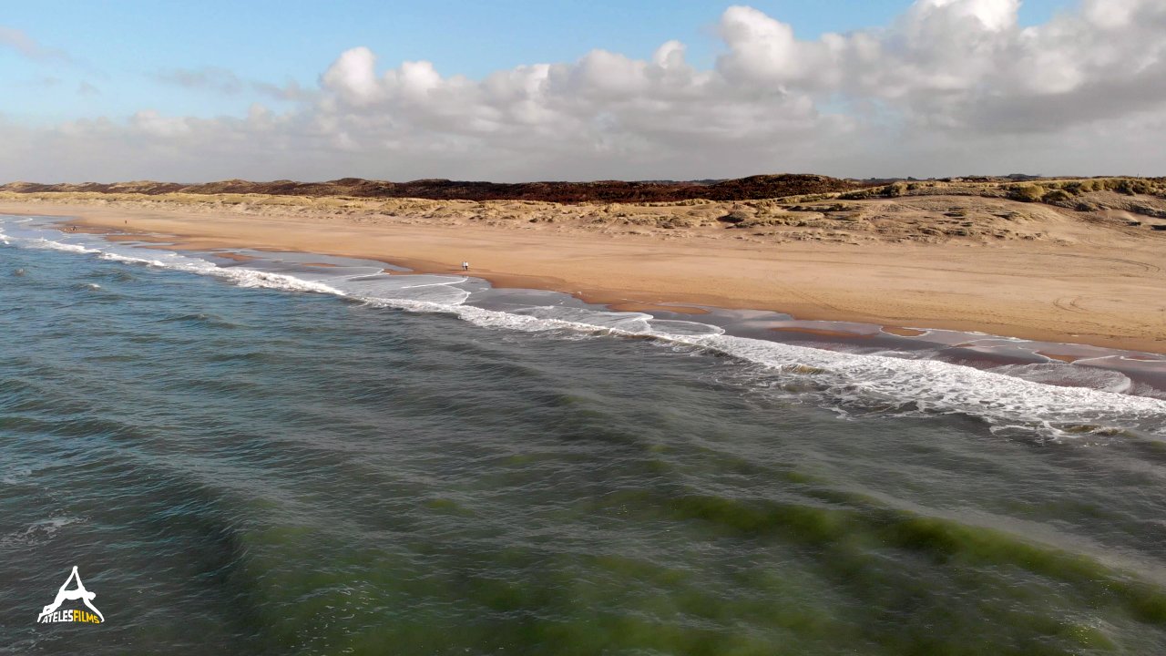 Hollands Wild Dunes Series11 Hollands Wild Dunes Series11