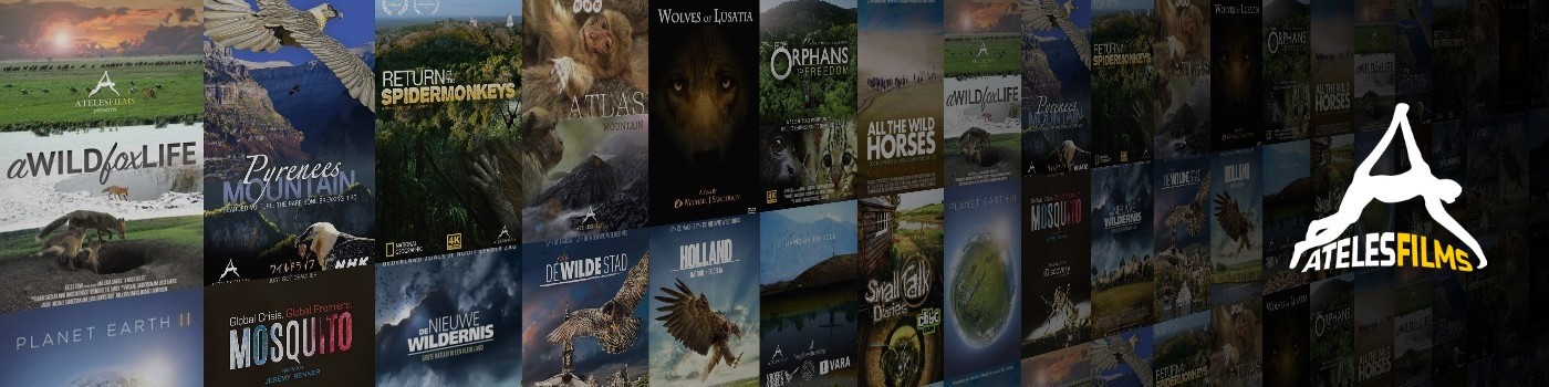 Ateles Films productions and other productions worked on