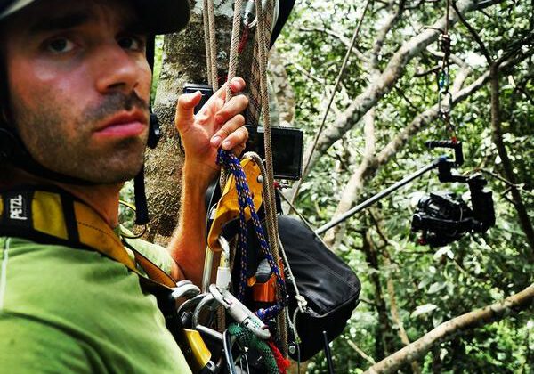 Planet Earth 2 Tree climbing canopy Michael Sanderson Planet Earth 2